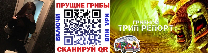 omg   Мостовской  Псилоцибиновые грибы Magic Shrooms 